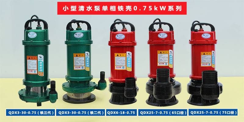 小型清水泵单相铁壳0.75kW系列