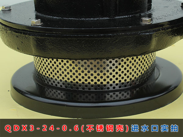QDX3-24-0.6（不锈钢壳）进水口实拍
