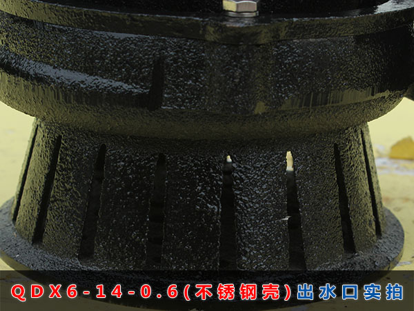 QDX6-14-0.6（不锈钢壳）进水口实拍